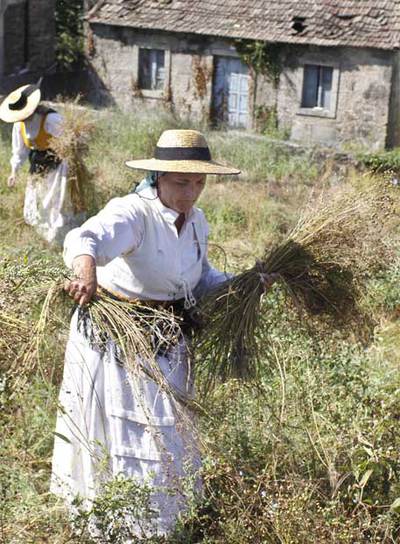 De época para recuperar el lino