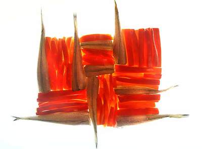 Boga al  mullador , homenaje a la obra de Sean Scully.