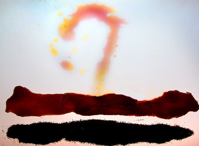 Olla de magro al vino, homenaje a la obra  Beside the sea nº 22  de Robert Motherwel.