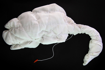 Pato a la guindilla picante, homenaje a la obra de Christo.