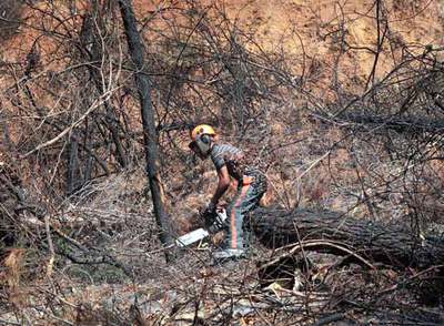 Los técnicos retiran la vegetación quemada en Horta de Sant Joan