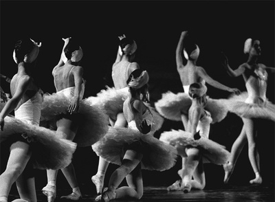 Segundo acto de  El lago de los cisnes , del  Ballet Nacional Clásico, en  1985.