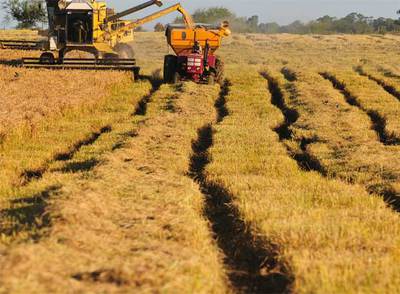 La incertidumbre oscurece Argentina