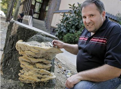 Jaime Blanco, ayer en la Alameda de Pontevedra, junto al hongo que ha nacido en el tronco de un arbol cortado.