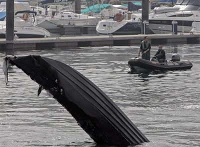 APARECE UNA PLANEADORA EN LLAMAS EN BAIONA