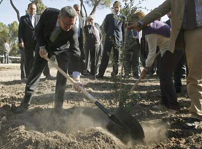 Alberto Ruiz-Gallardón planta un árbol en la Casa de Campo.