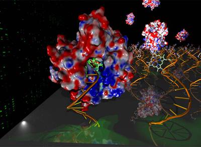 Científicos españoles fabrican un chip que detecta la 'huella' metabólica de microbios
