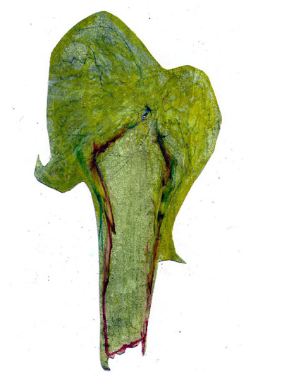 Aguirre obtiene plusvalías del 'caso Gürtel'