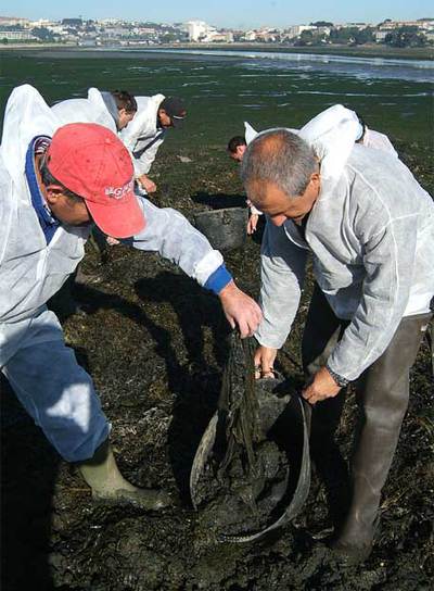 Monos blancos por la limpieza de la ría