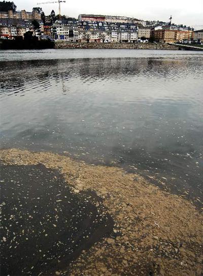 Residuos en la ría de O Burgo.