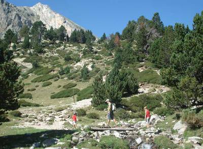 El Valle del Ter en las cercanías de Ripoll, en el Pirineo catalán
