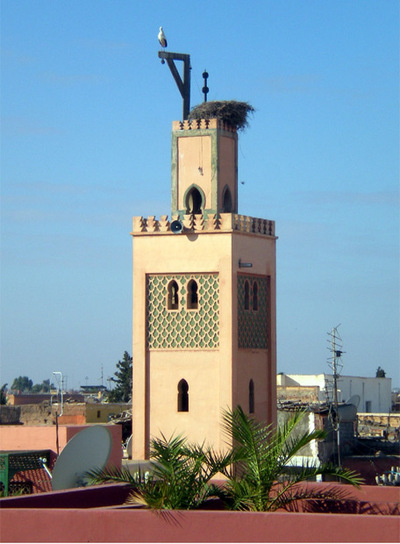 Una cigüeña y su nido en un minarete en la medina de Marrakech, desde el  riad  Al Mansoura.