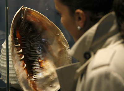Una mujer observa una de las piezas expuestas en la muestra  Amor al mar .
