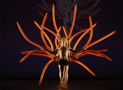 Un momento del espectáculo  Bothanica.  