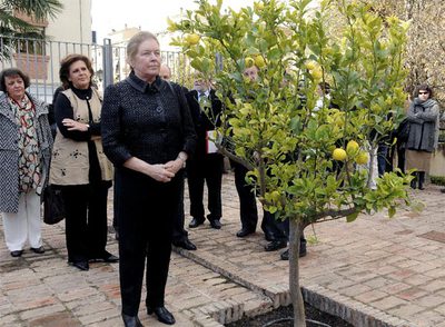Las cenizas de Francisco Ayala se funden con Granada