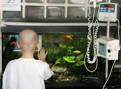 La única forma de garantizar la eficacia y seguridad de la administración de fármacos en niños es probarlos rnen ellos.