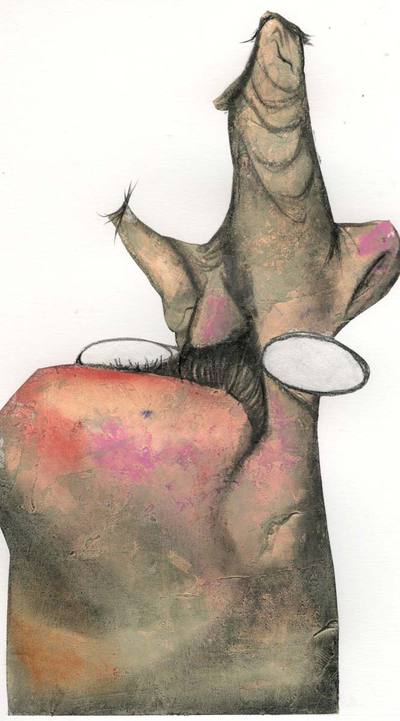 'El tambor de hojalata' redobla en una nueva traducción española