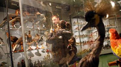 Una visitante fotografía a los diversos animales expuestos.