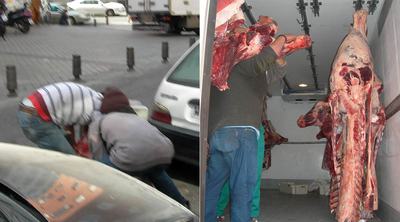 SECUENCIA DE UN GOLPE AL DESPISTE