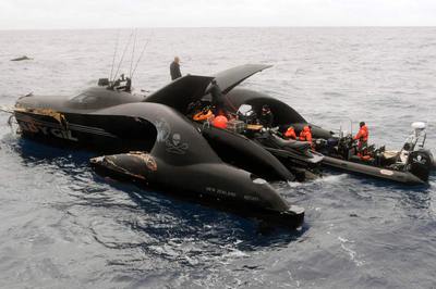Hundido un barco ecologista al chocar con un ballenero
