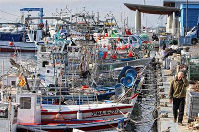 Pueblos de Tarragona denuncian la lentitud al limpiar carreteras