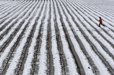Una chica juega, ayer, con la nieve en un campo a unos 15 kilómetros de Sevilla capital.
