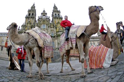 El Camino, también en dromedario