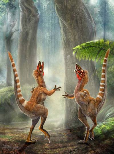 Representación de dos ejemplares de  Sinosauropteryx. 