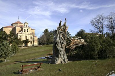 600 AÑOS ABATIDOS POR EL VENDAVAL