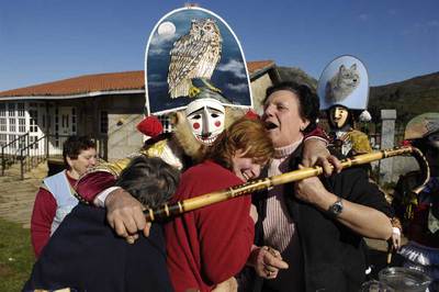 Los felos de Maceda ganan fama y se multiplican