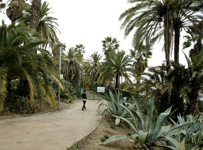 Cuatro millones para reformar un jardín