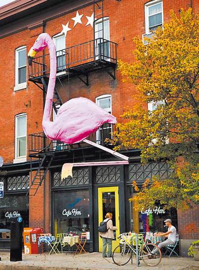  Flamenco rosa en un edificio del barrio de Hampden, Baltimore 