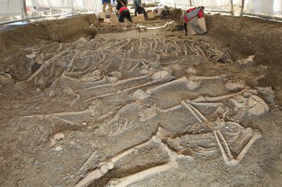 Fosa común del cementerio de San Rafael de Málaga.