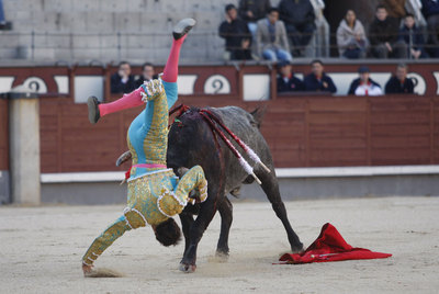 El segundo astado voltea a Juan Carlos Rey, sin consecuencias, en la primera novillada de la temporada en Las Ventas.