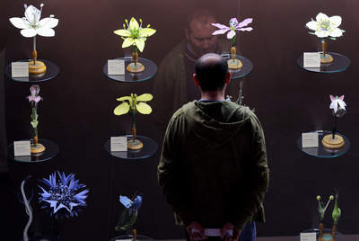 Reproducciones de flores utilizadas para su estudio, en la exposición  La evolución de Darwin. 