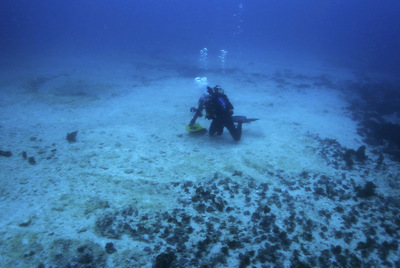 Un buzo inspecciona los daños en el coral causados por el  Shen Neng 1. 