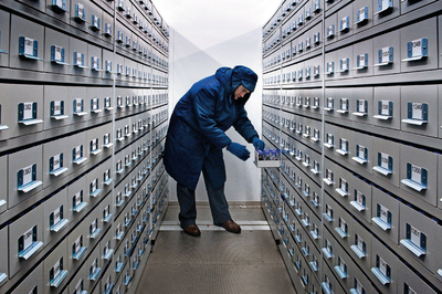   La cámara acorazada. El doctor Probert extrae una muestra de semillas almacenadas a temperatura polar  