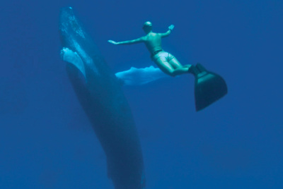 El buceador en apnea Mandy-Rae Cruickshank, en una imagen de  The cove. 