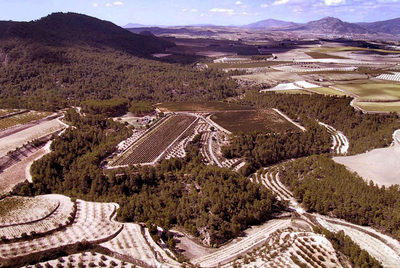 Vista panorámica de la zona  de Les Alcusses, en Moixent.