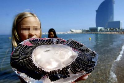 Las medusas también van a la playa