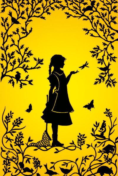 Ilustración original para la portada de  La evolución de Calpurnia Tate. 