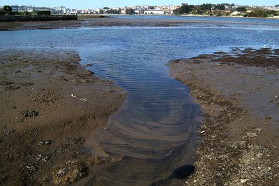 Aguas contaminadas en la ría de O Burgo, en A Coruña, en marzo del pasado año.