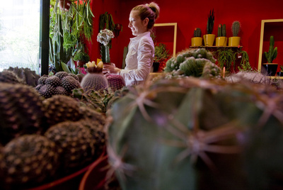 Interior de Cacto-Cacto, la tienda madrileña con más cactus por metro cuadrado.