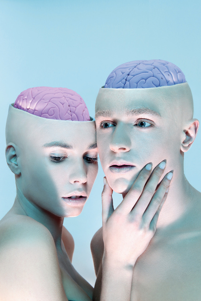 Cerebros ... y cerebras