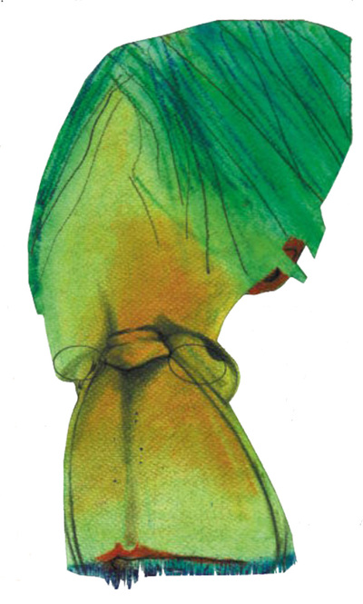 El excéntrico seductor