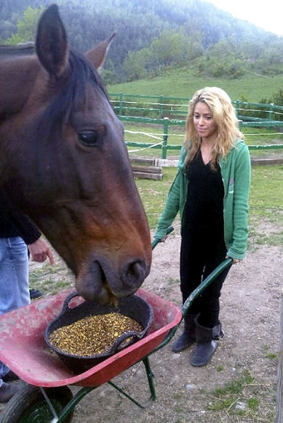 Shakira, granjera en Girona