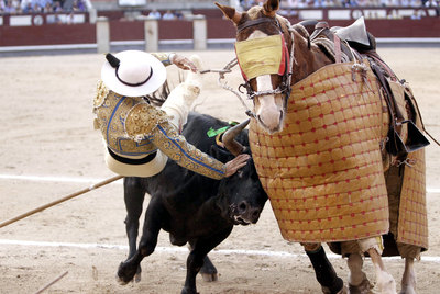 El picador José Carlos González cae del caballo, empujado por  Guasón,  el quinto toro de la tarde, ayer en Las Ventas.