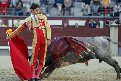 El novillero Víctor Barrio, triunfador de la tarde en Las Ventas, da un derechazo a su primer toro.