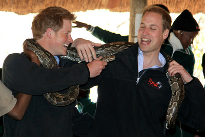 LOS PRÍNCIPES Y LA PITÓN