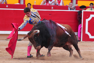 Rubén Pinar, en el último toro de la tarde, con el que recibió una oreja.